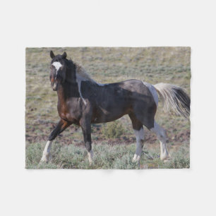 Wilde paarden na een stofbad fleece deken