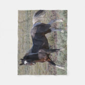Wilde paarden na een stofbad fleece deken (Voorkant)