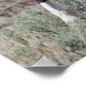 Wilde paarden na een stofbad poster (Hoek)