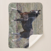 Wilde paarden na een stofbad sherpa deken (Voorkant)