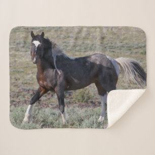 Wilde paarden na een stofbad sherpa deken