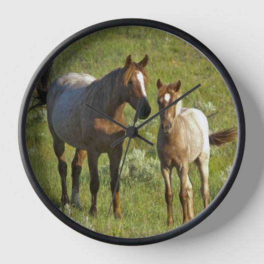 Wilde paarden North Dakota (Voorkant)