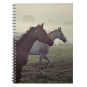 Wilde paarden notitieboek (Voorkant)