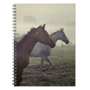 Wilde paarden notitieboek