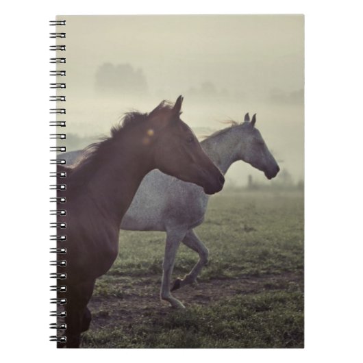 Wilde paarden notitieboek (Voorkant)