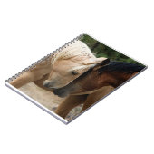 Wilde paarden notitieboek (Linkerzijde)