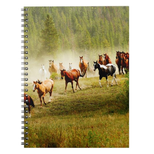 Wilde paarden notitieboek (Voorkant)