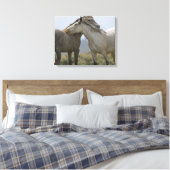 Wilde paarden Nuzzling Canvas Afdruk (Insitu (Slaapkamer))