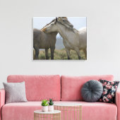 Wilde paarden Nuzzling Canvas Afdruk (Insitu (Woonkamer))