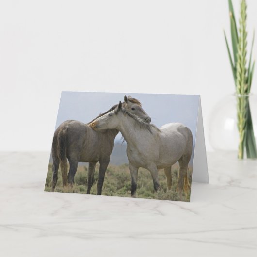 Wilde paarden Nuzzling Kaart (Voorkant)