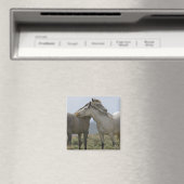 Wilde paarden Nuzzling Magneet (Insitu (Vaatwasser))