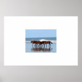 Wilde paarden op de strand poster (Voorkant)