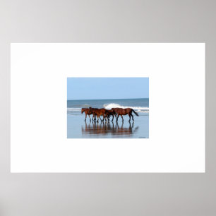 Wilde paarden op de strand poster