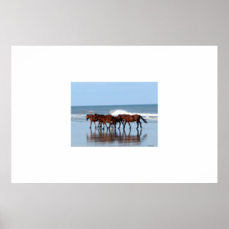 Wilde paarden op de strand poster