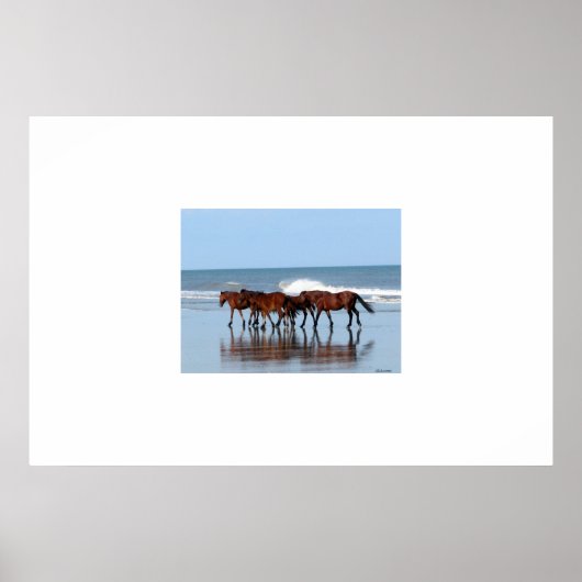 Wilde paarden op de strand poster (Voorkant)
