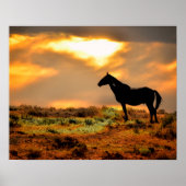 Wilde paarden op zonsondergang poster (Voorkant)