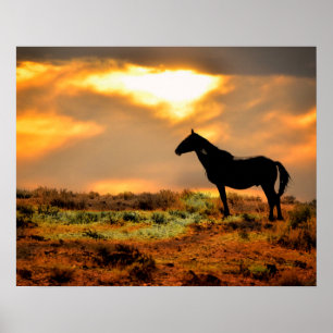 Wilde paarden op zonsondergang poster