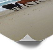 Wilde paarden Outer Banks Corolla NC Poster (Hoek)