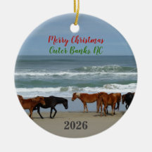Wilde paarden Outer Banks OBX 2026 Kerstmis