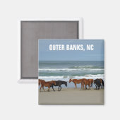Wilde paarden Outer Banks OBX North Carolina Magneet (Voorkant / Achterkant)