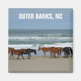 Wilde paarden Outer Banks OBX North Carolina Magneet