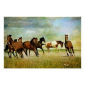 Wilde paarden perfect poster (Voorkant)