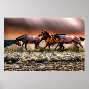 Wilde paarden poster