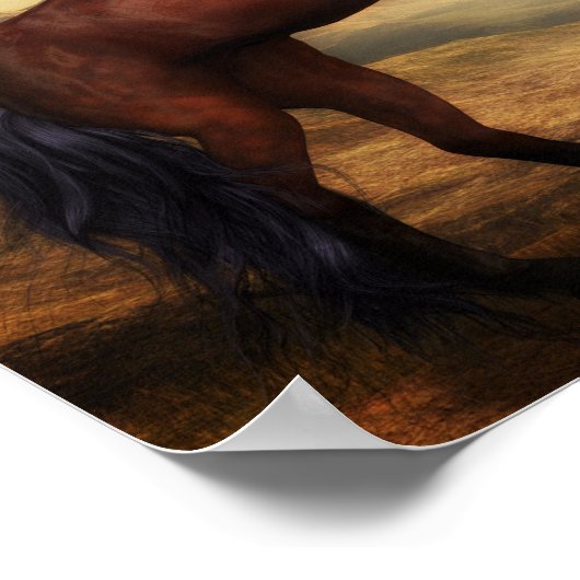 Wilde paarden poster (Hoek)