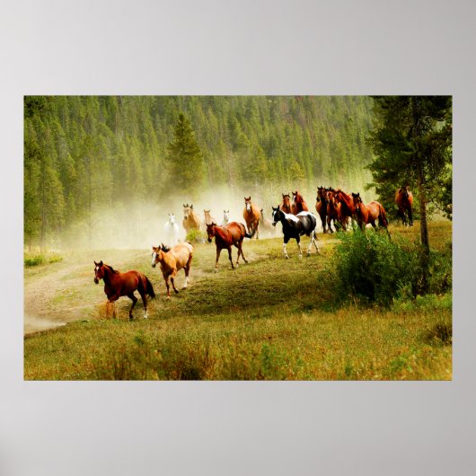 Wilde paarden poster (Voorkant)