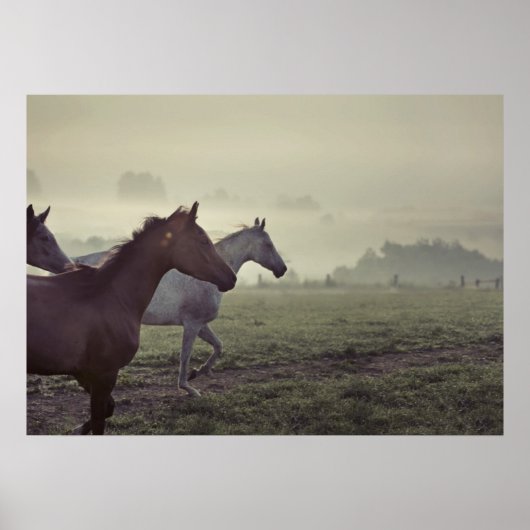 Wilde paarden poster (Voorkant)