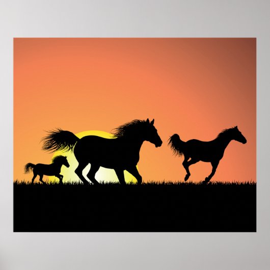 Wilde paarden poster (Voorkant)
