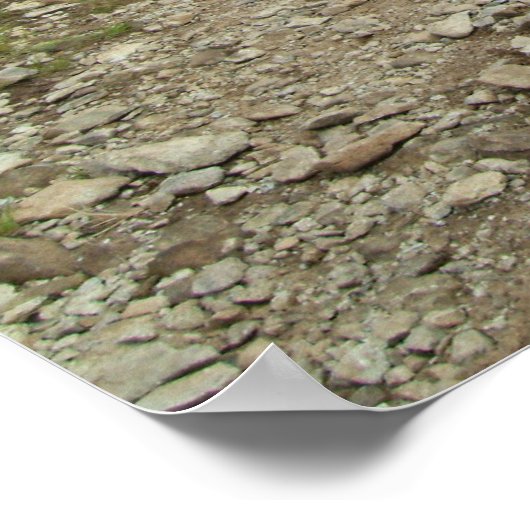 Wilde paarden poster (Hoek)