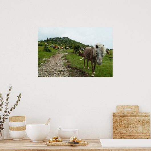 Wilde paarden poster (Keuken)