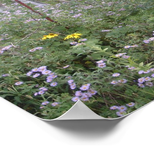 Wilde paarden poster (Hoek)