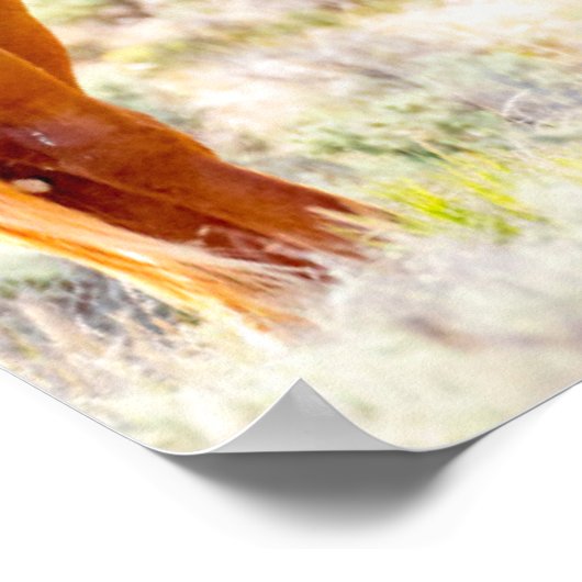 Wilde paarden poster (Hoek)