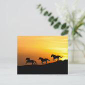 Wilde paarden rennen bij zonsondergang- Ontwerpen  Briefkaart (Staand voorkant)