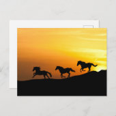 Wilde paarden rennen bij zonsondergang- Ontwerpen  Briefkaart (Voorkant / Achterkant)