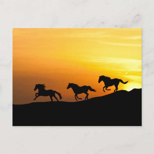 Wilde paarden rennen bij zonsondergang- Ontwerpen  Briefkaart (Voorkant)