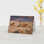 Wilde paarden rennen kaart (Gele Bloem)