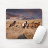 Wilde paarden rennen muismat (Met muis)