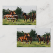 Wilde paarden Rond Visitekaartje (Voorkant / Achterkant)