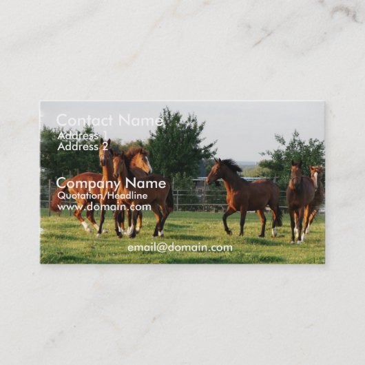 Wilde paarden Rond Visitekaartje (Voorkant)
