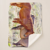 Wilde paarden sherpa deken (Voorkant)