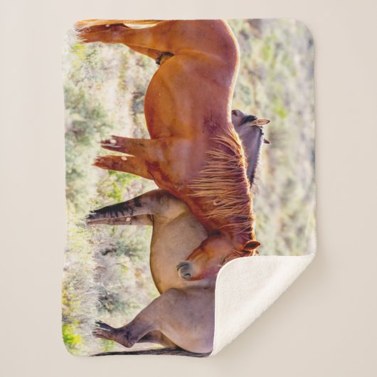 Wilde paarden sherpa deken (Voorkant)