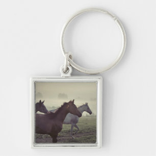 Wilde paarden sleutelhanger