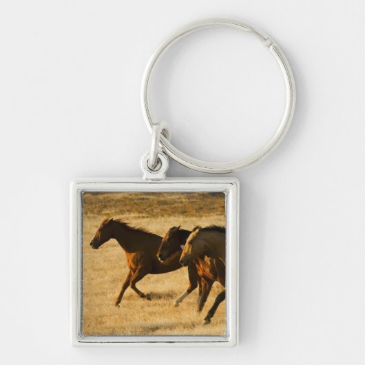 Wilde paarden sleutelhanger (Voorkant)