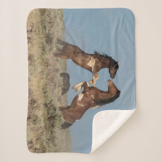 Wilde paarden Stallions vechten Sherpa Deken (Voorkant)