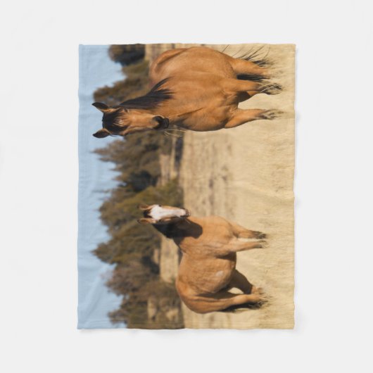Wilde paarden, Steens-bergen Fleece Deken (Voorkant)