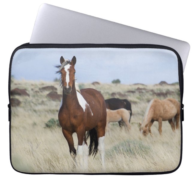 Wilde paarden, Steens-bergen Laptop Sleeve (Voorkant)