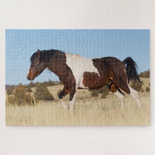 Wilde paarden, Steens-bergen Legpuzzel (Horizontaal)